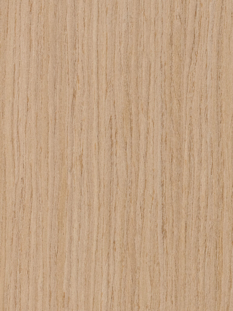 Muestra textura madera roble